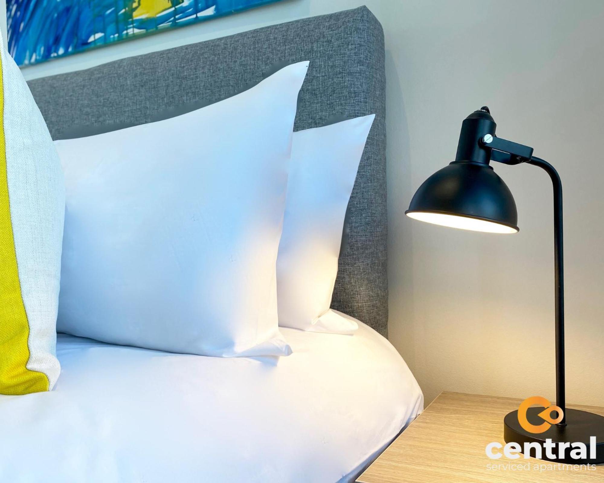 Central Serviced Apartments - Cosy 1 Bedroom - Walk Away From City Quay V&A - Walk To Bus And Train Station - Easy Access To City Centre - Fast Wi-Fi - Fully Equipped - Weekly & Monthly Stay Offers Данди Экстерьер фото